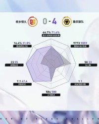 开云体育官网-狼队/情久第四局数据对比：道崽苍全方位包围陌冷戈娅